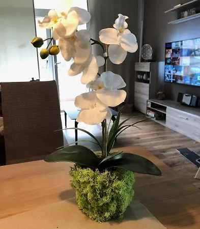 De Winter Appartement Bad Harzburg