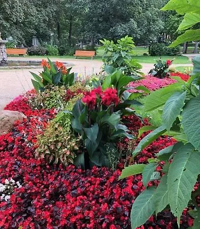 De Winter * Bad Harzburg